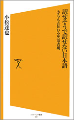 『訳せそうで訳せない日本語　きちんと伝わる英語表現』（ソフトバンク新書）